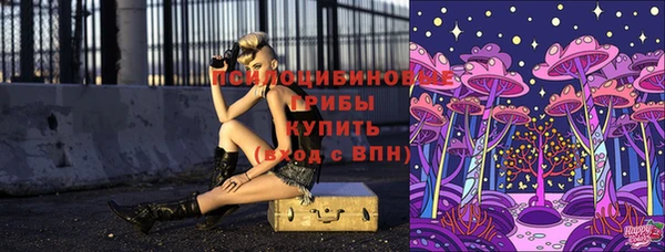 индика Верхнеуральск