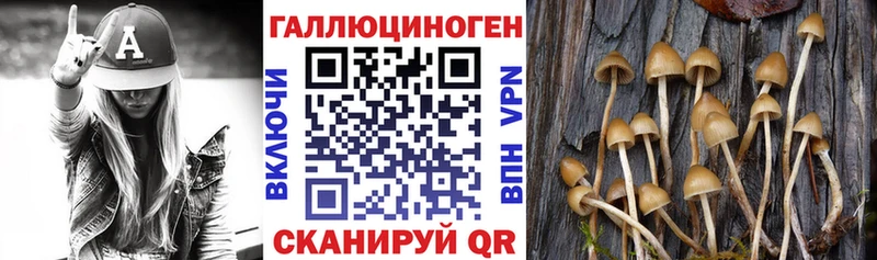 OMG сайт  Зуевка  Галлюциногенные грибы мухоморы 